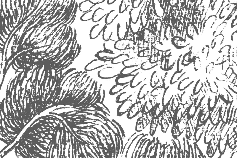 Scandinavian Bellewood - Gray