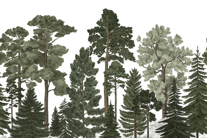 Scandinavian Bellewood - Original