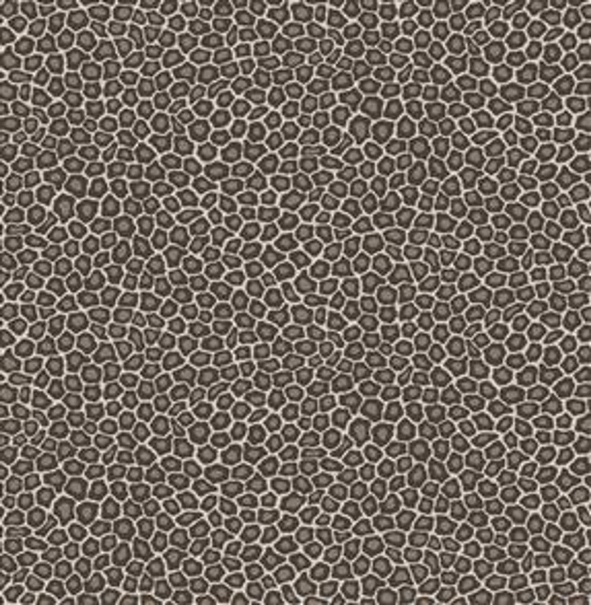 Senzo Spot - Black