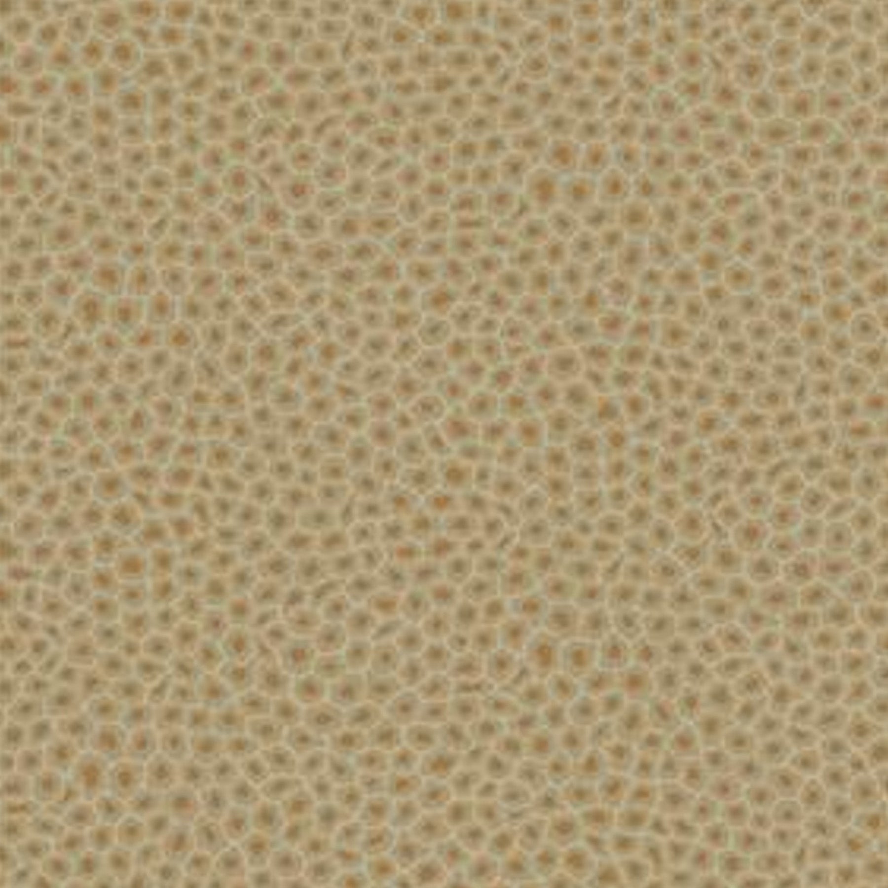 Senzo Spot - Natural