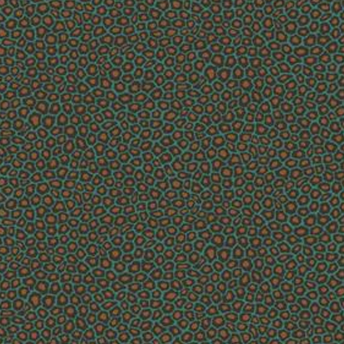 Senzo Spot - Turquoise