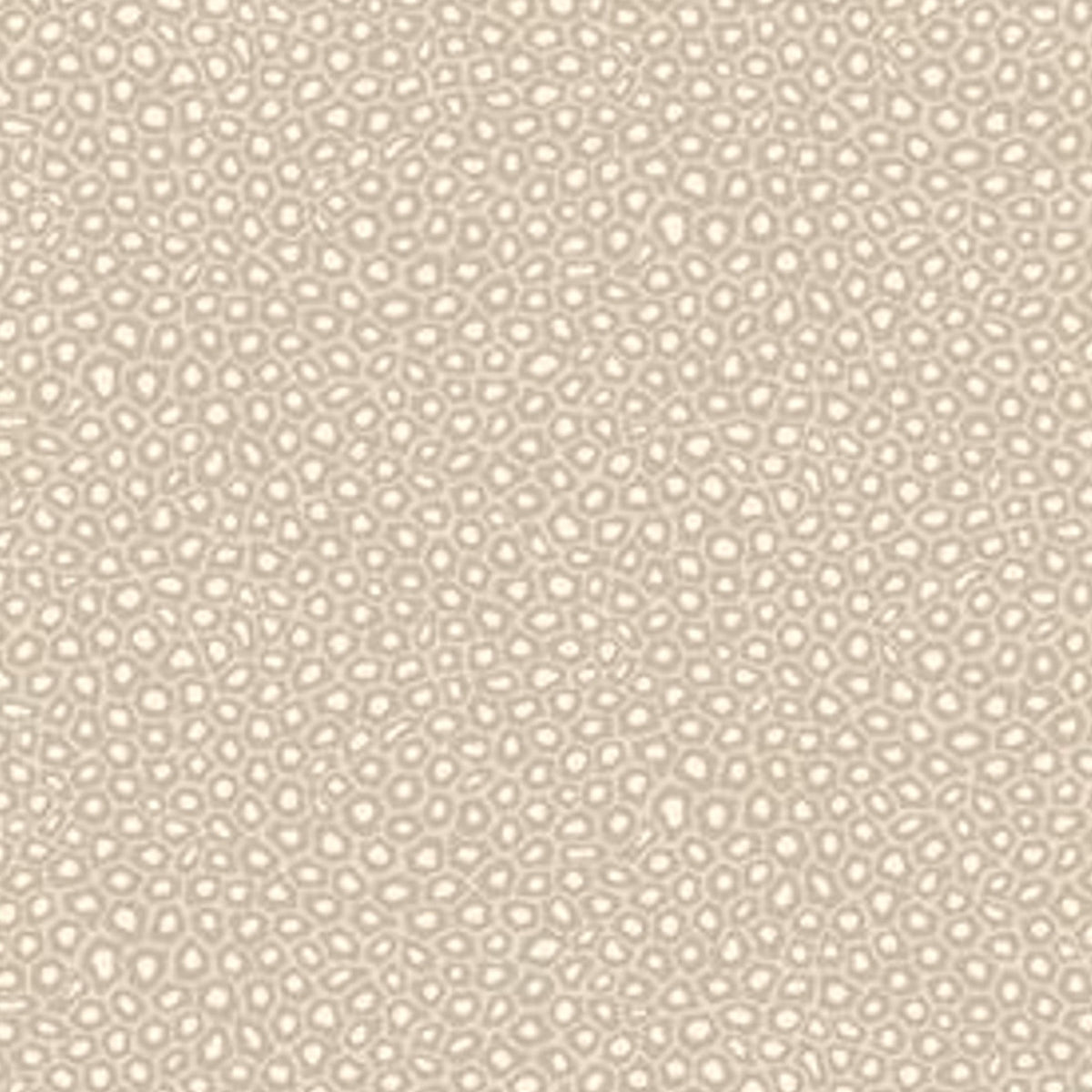 Senzo Spot - White