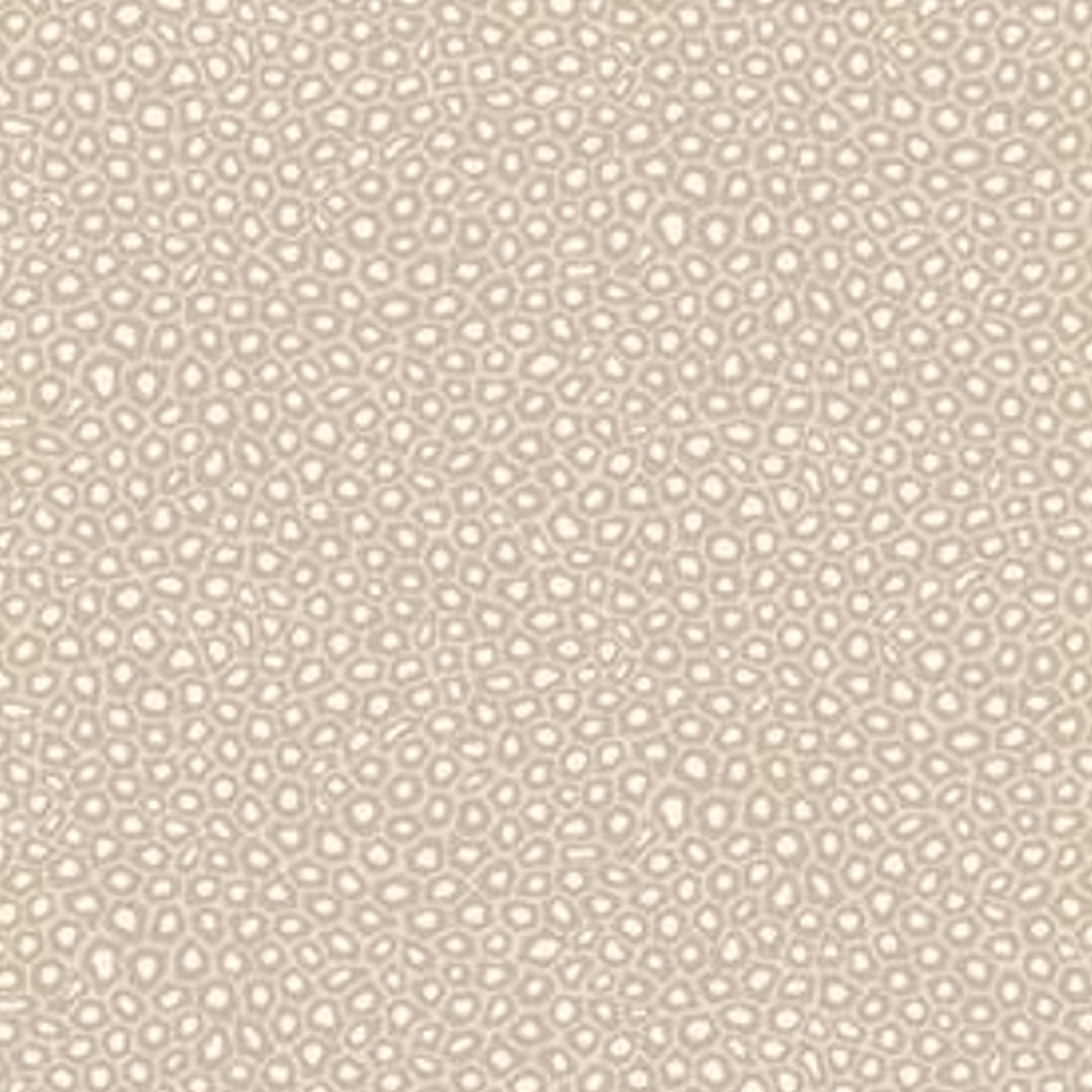 Senzo Spot - White