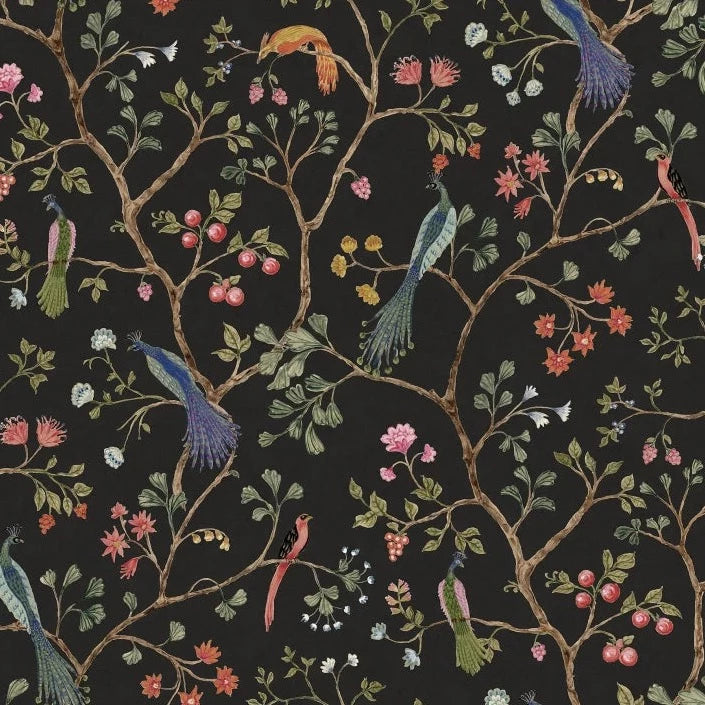 Songbirds - Midnight