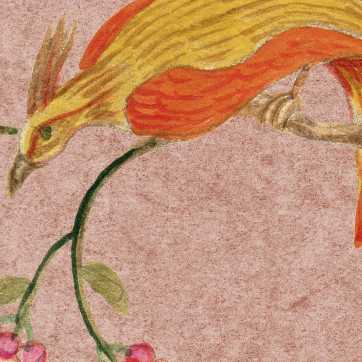 Songbirds - Pink