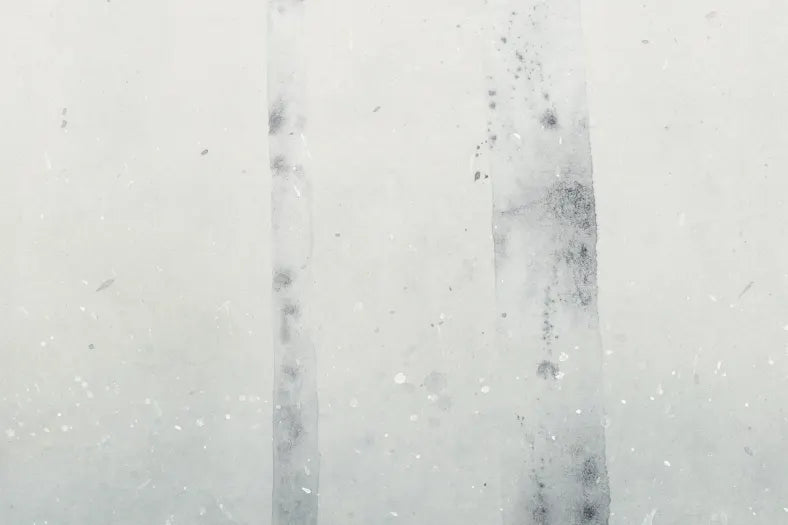Sundborn - Winter