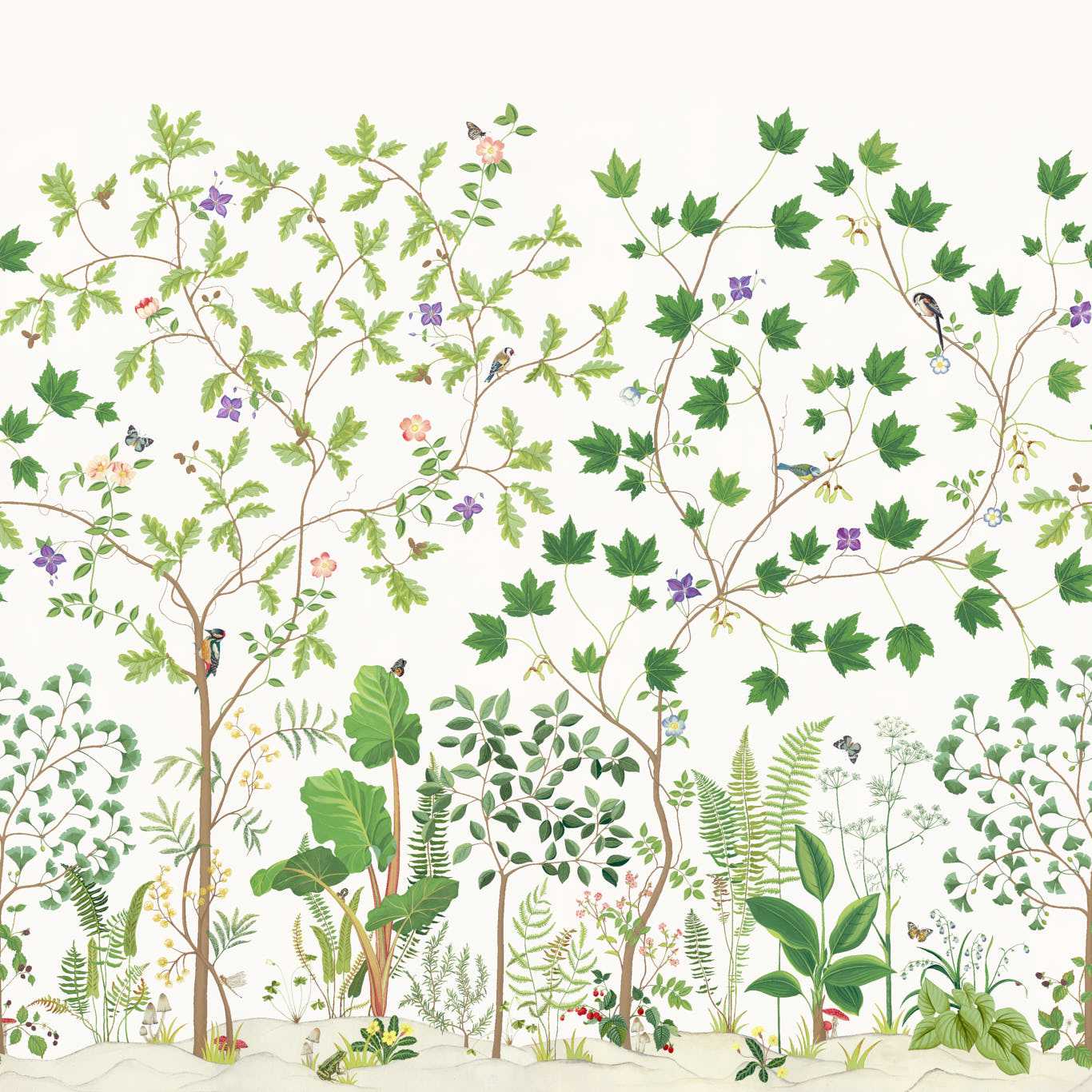 Sycamore and Oak - Botanical Green