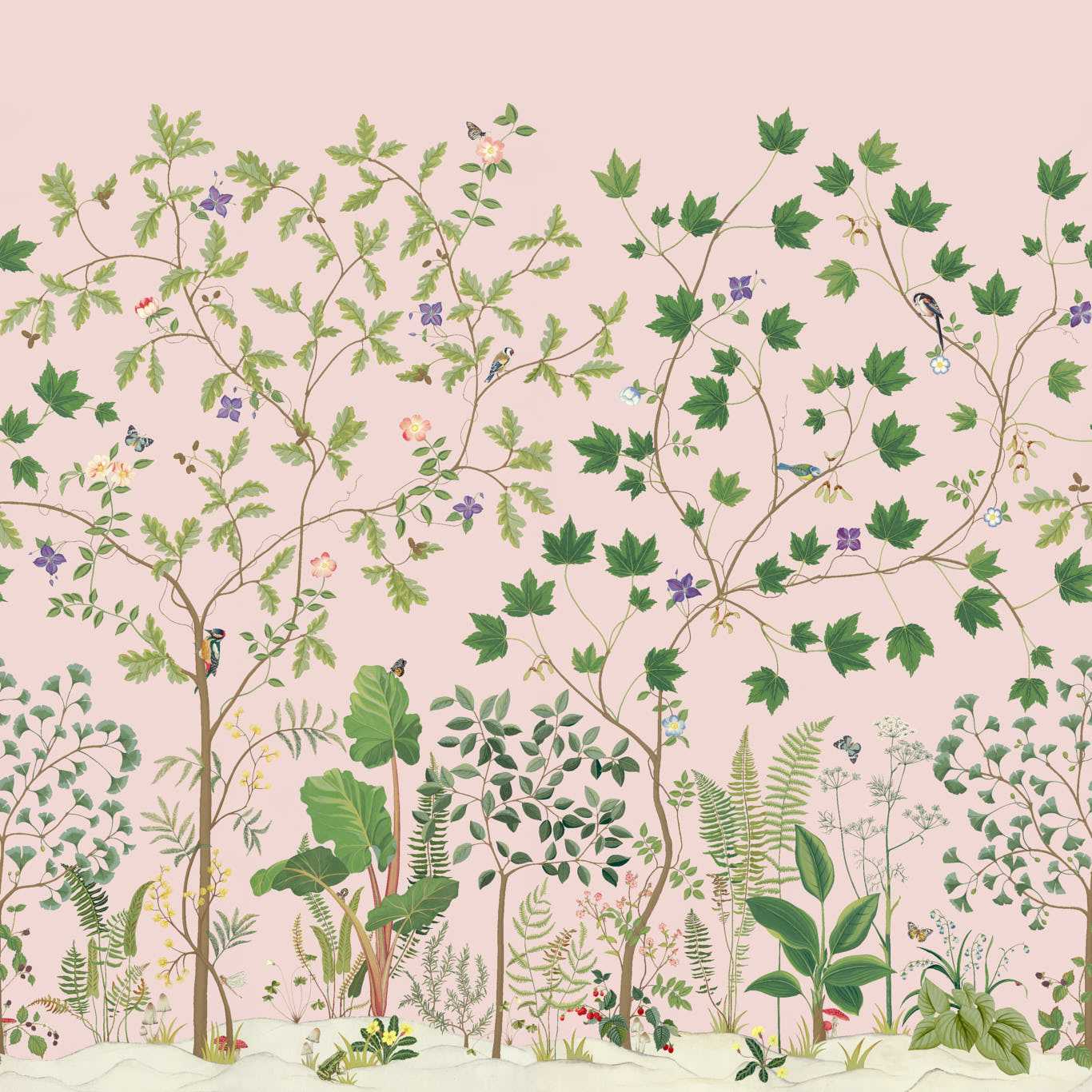Sycamore and Oak - Wild Rose