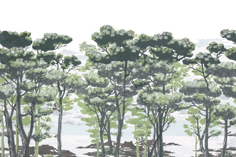 The Enchanted Forest - Daylight