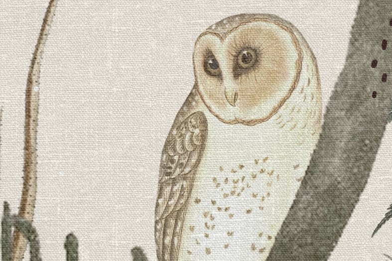 The Swedish Forest - White