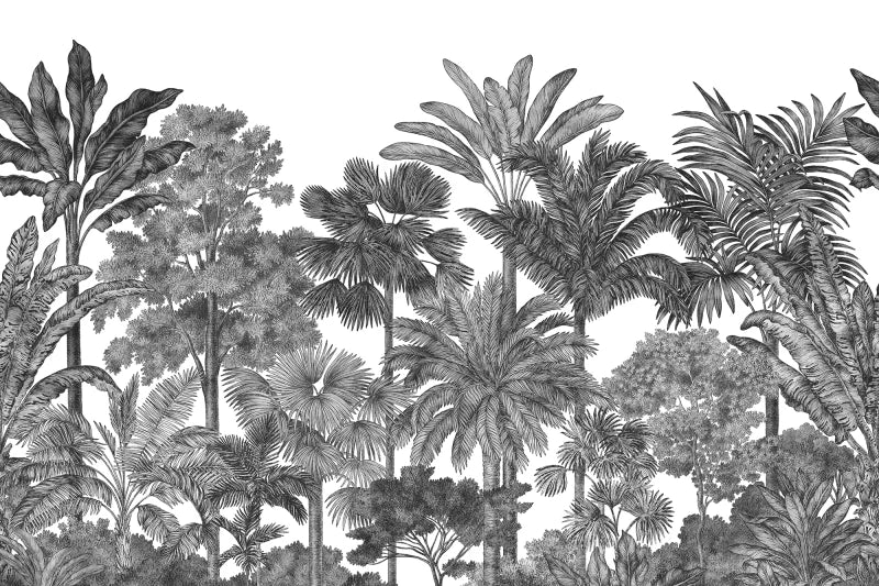 Tropical Bellewood - Graphite