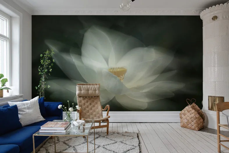 White Waterlily
