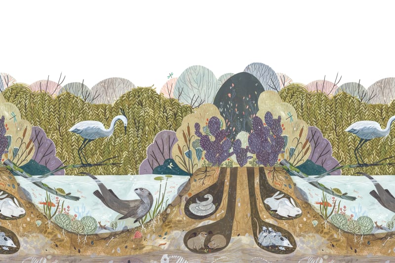 Wild Willows