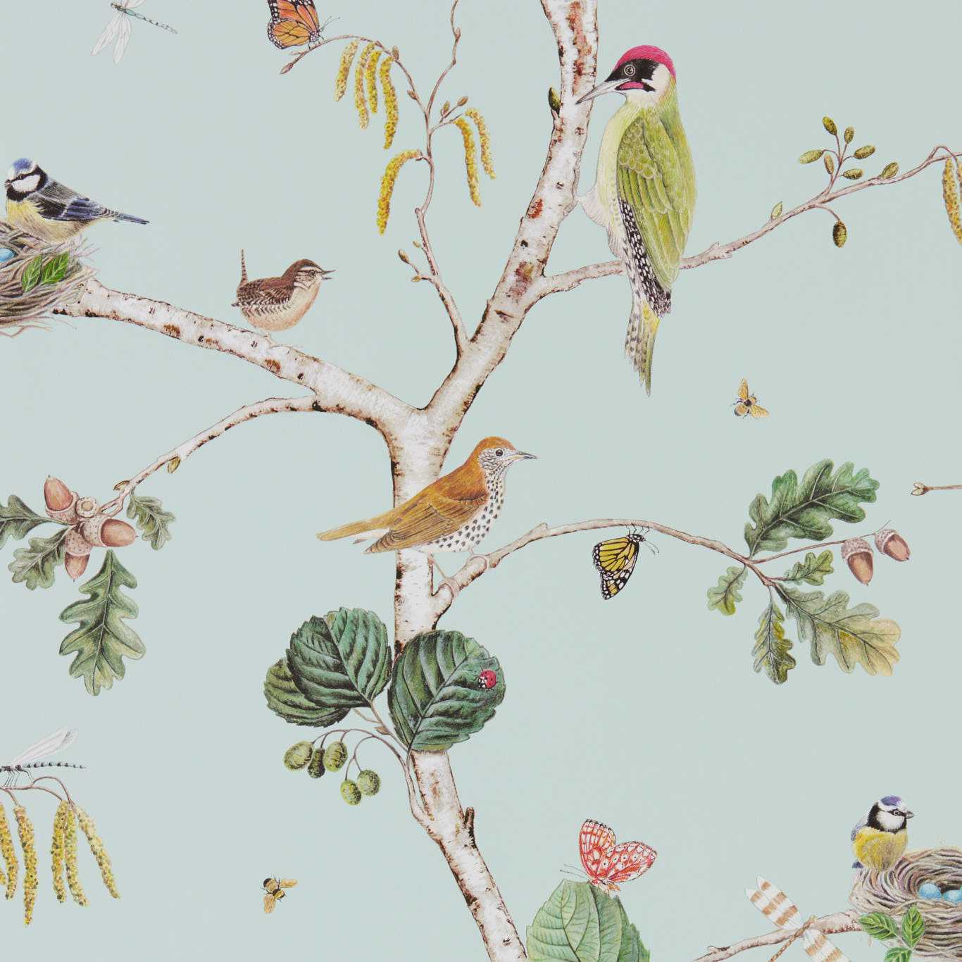 Woodland Chorus - Sky Blue/Multi