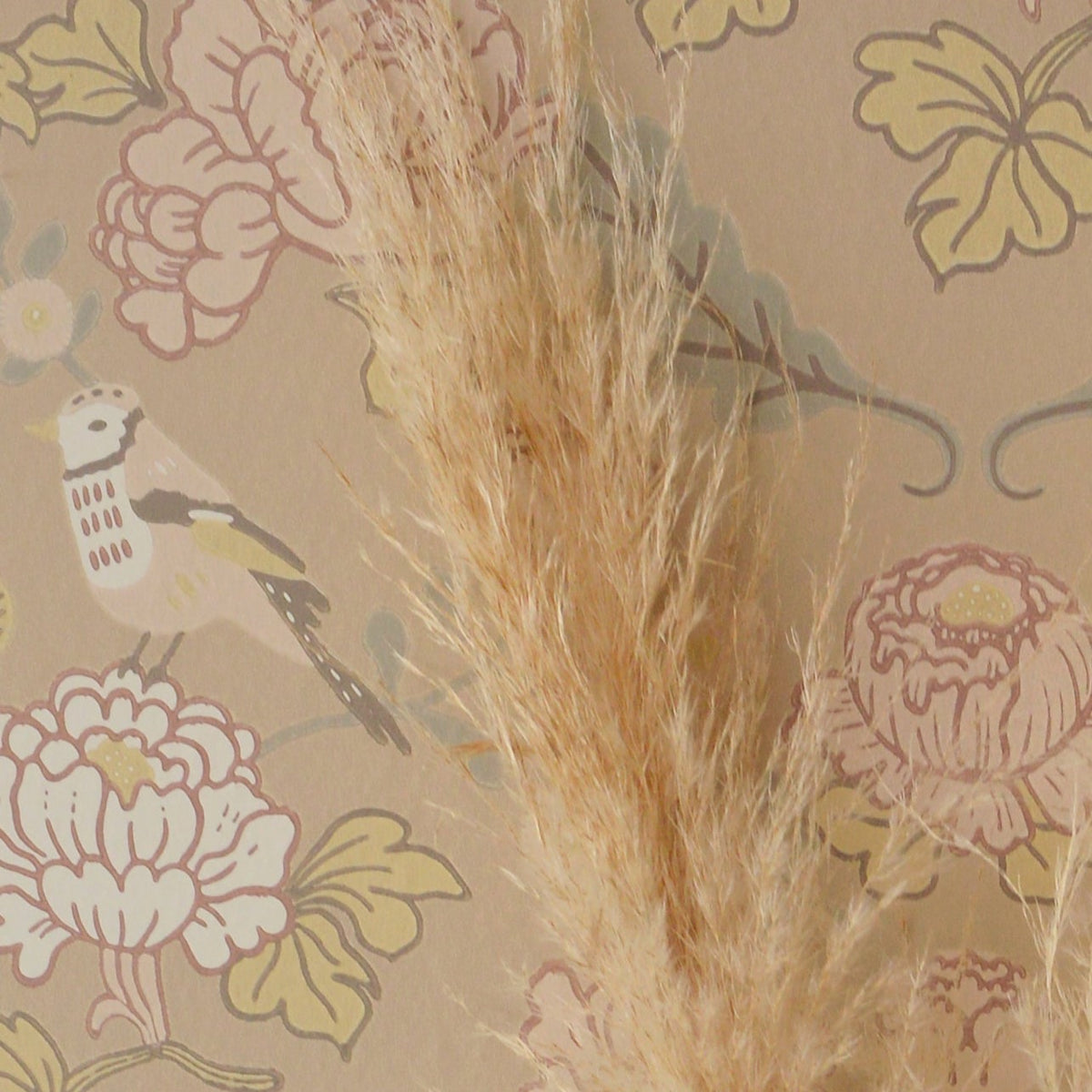 June - Honey Beige
