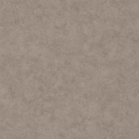 Beton Uni - Dark Grey Taupe