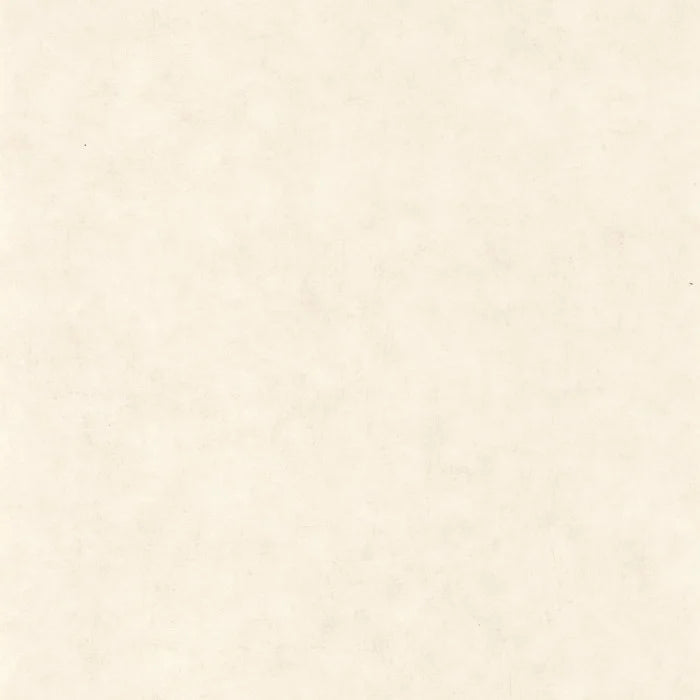 Beton Uni - Blanc Beige