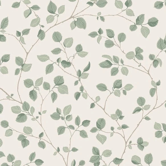 Bokskog - Garden Green