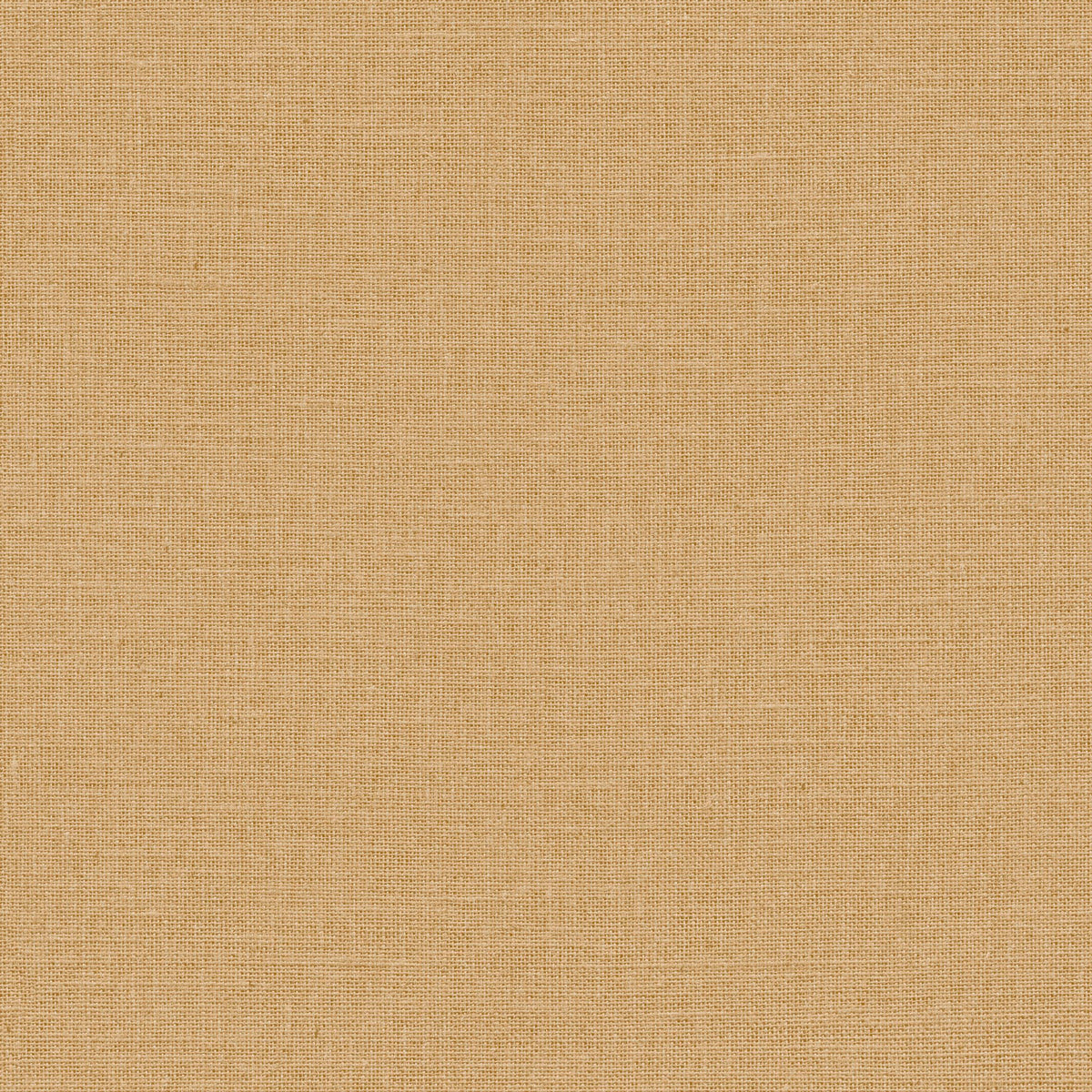 Jute - Miel