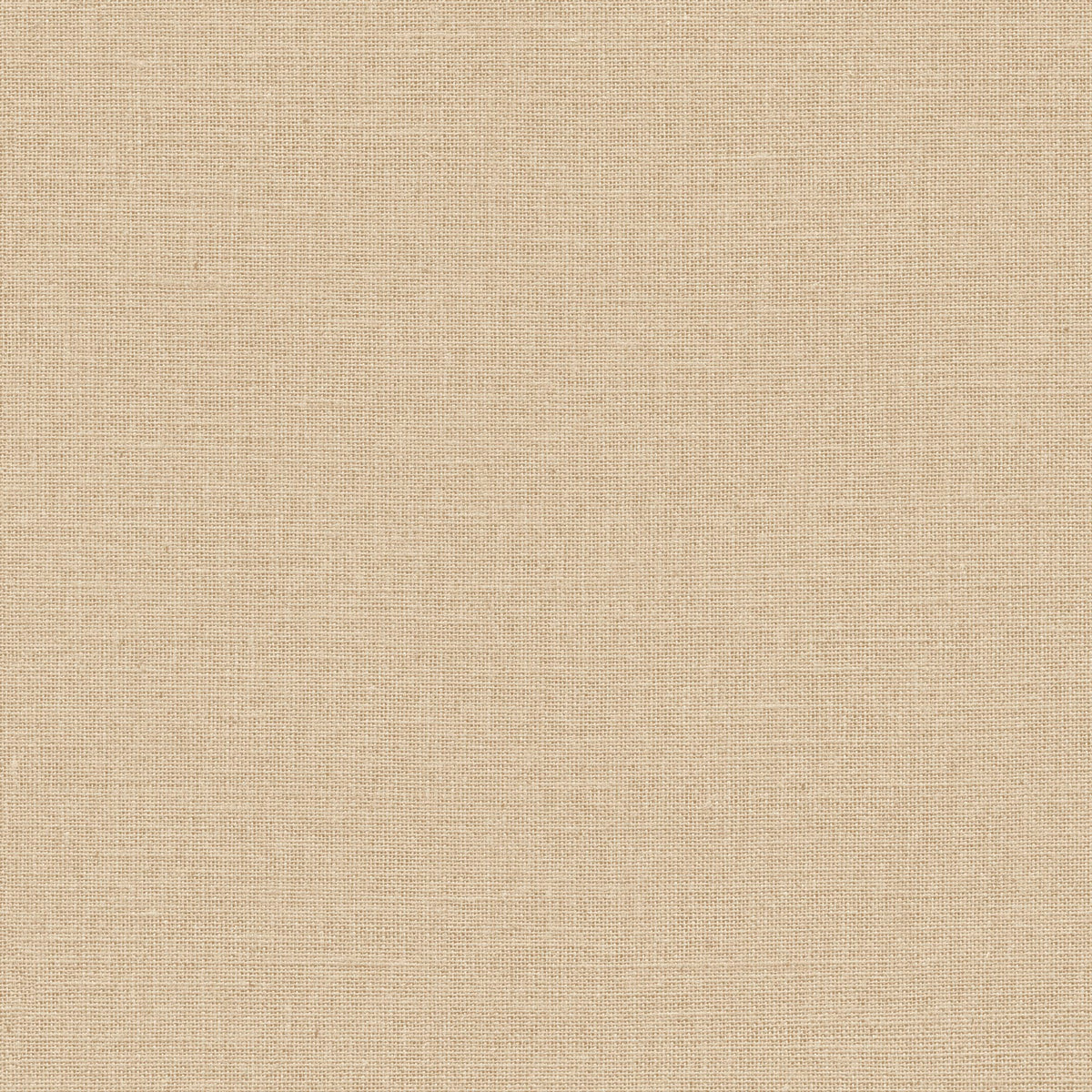 Jute - Biscuit