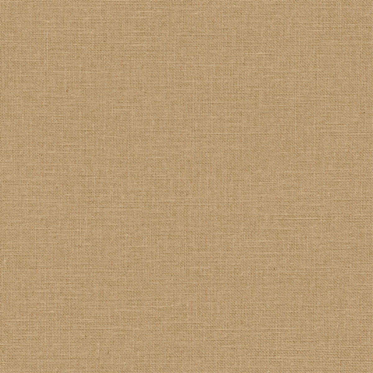 Jute - Canelle