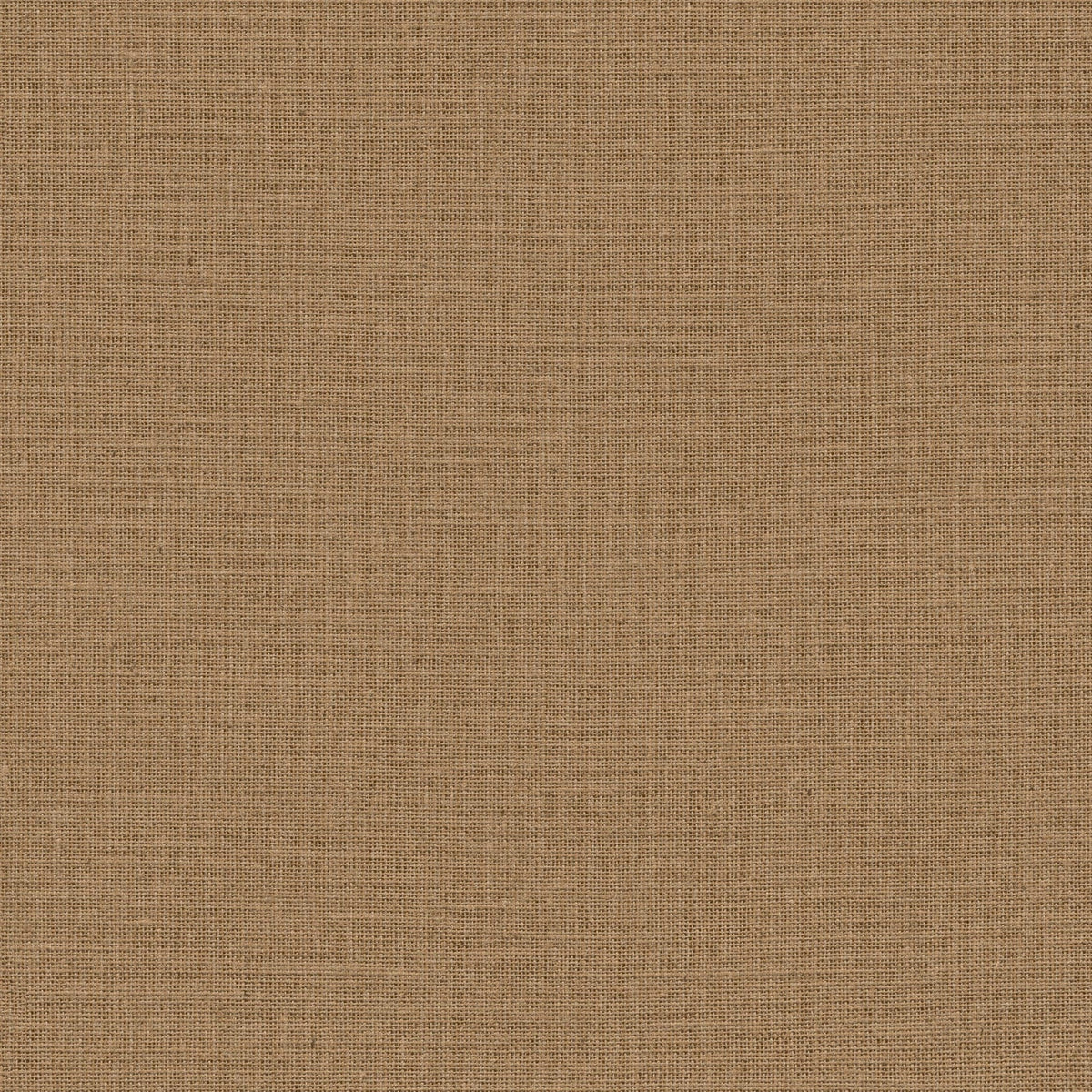 Jute - Noisette