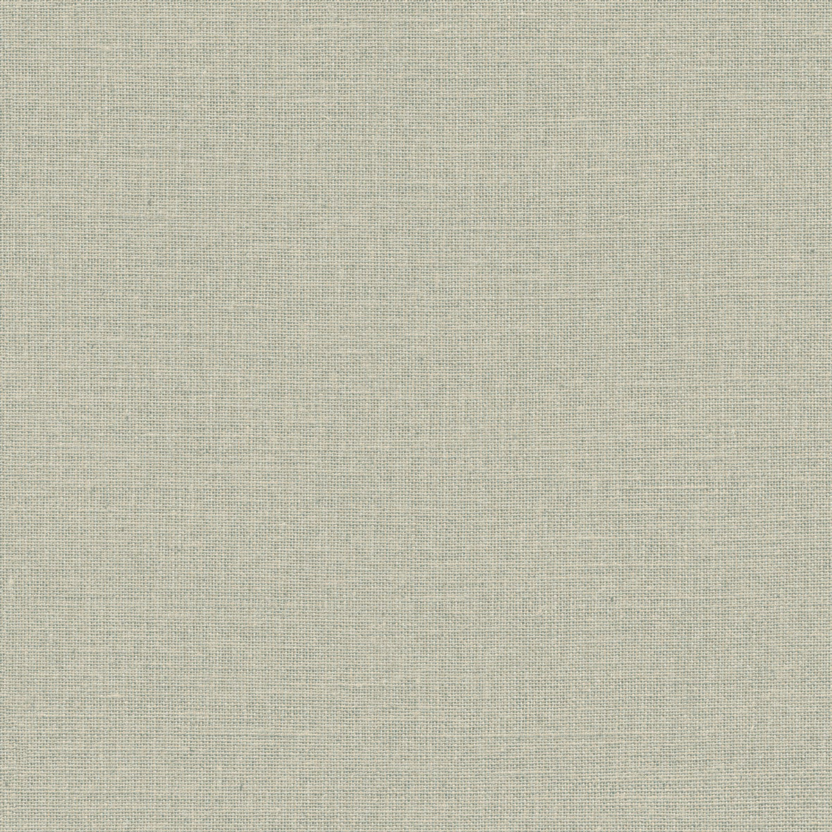 Jute - Celadon