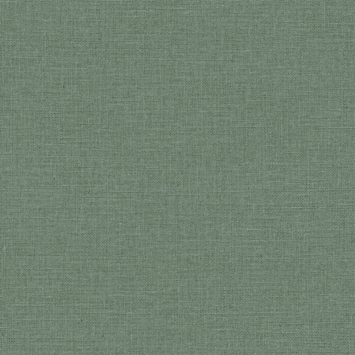 Jute - Mousse