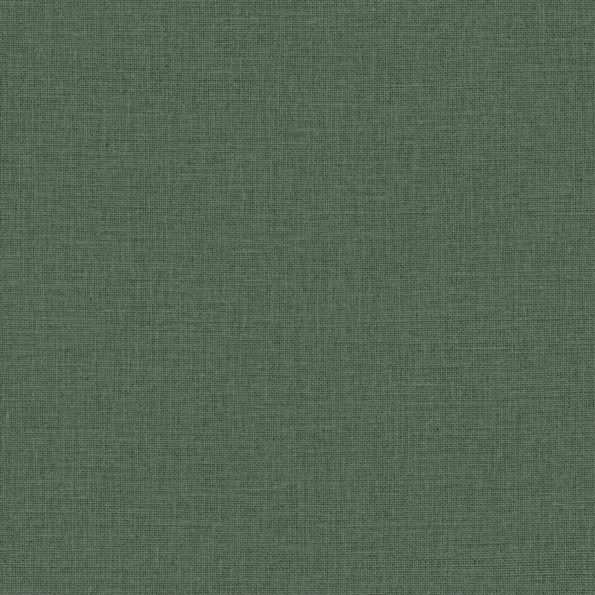 Jute - Sapin