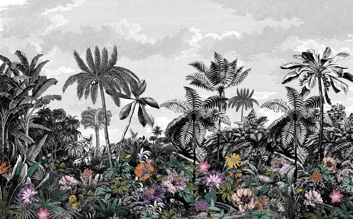 Paradise Island (5mx3.1m)