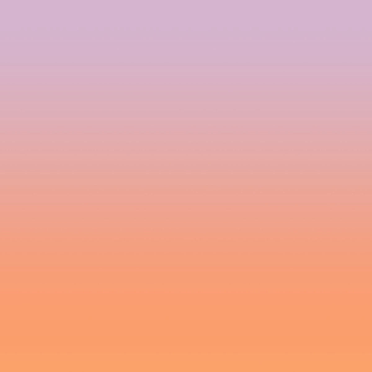 Beautiful Dawn (2mx3.1m)