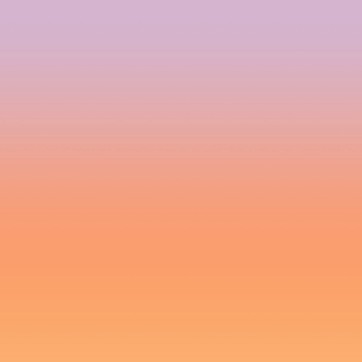 Beautiful Dawn (2mx2.5m)