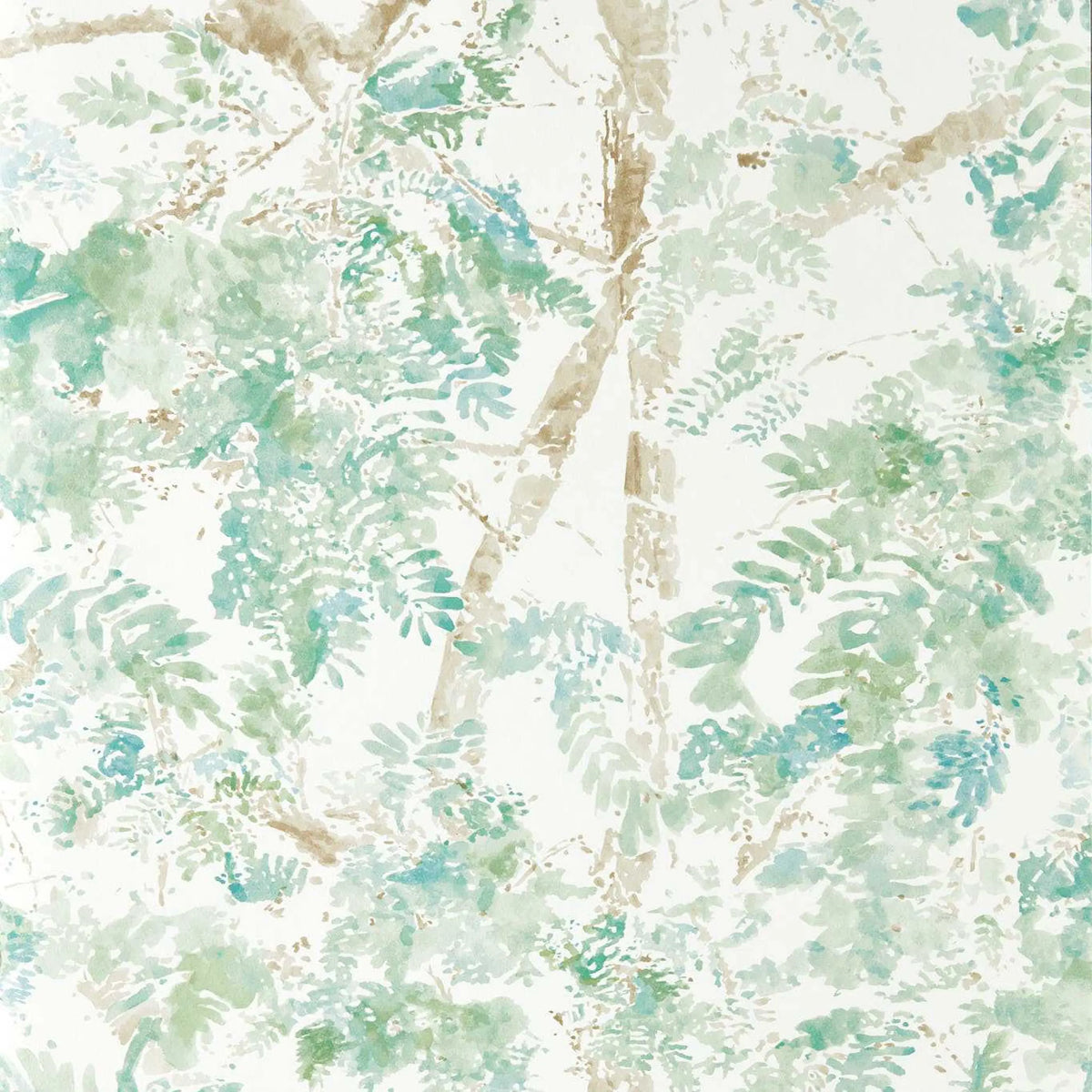 Ceiba - Pine