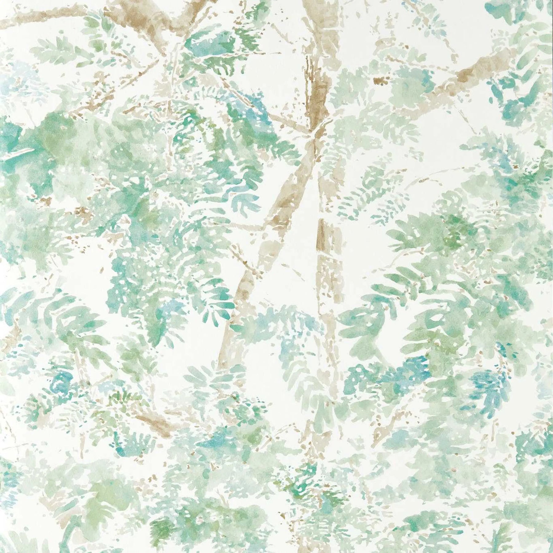 Ceiba - Pine