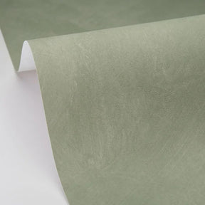 Chalk - Vert Eucalyptus