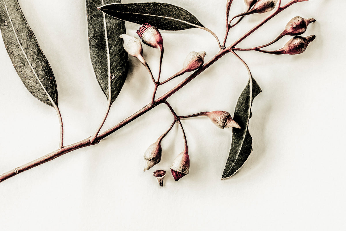 Touch of Warmth