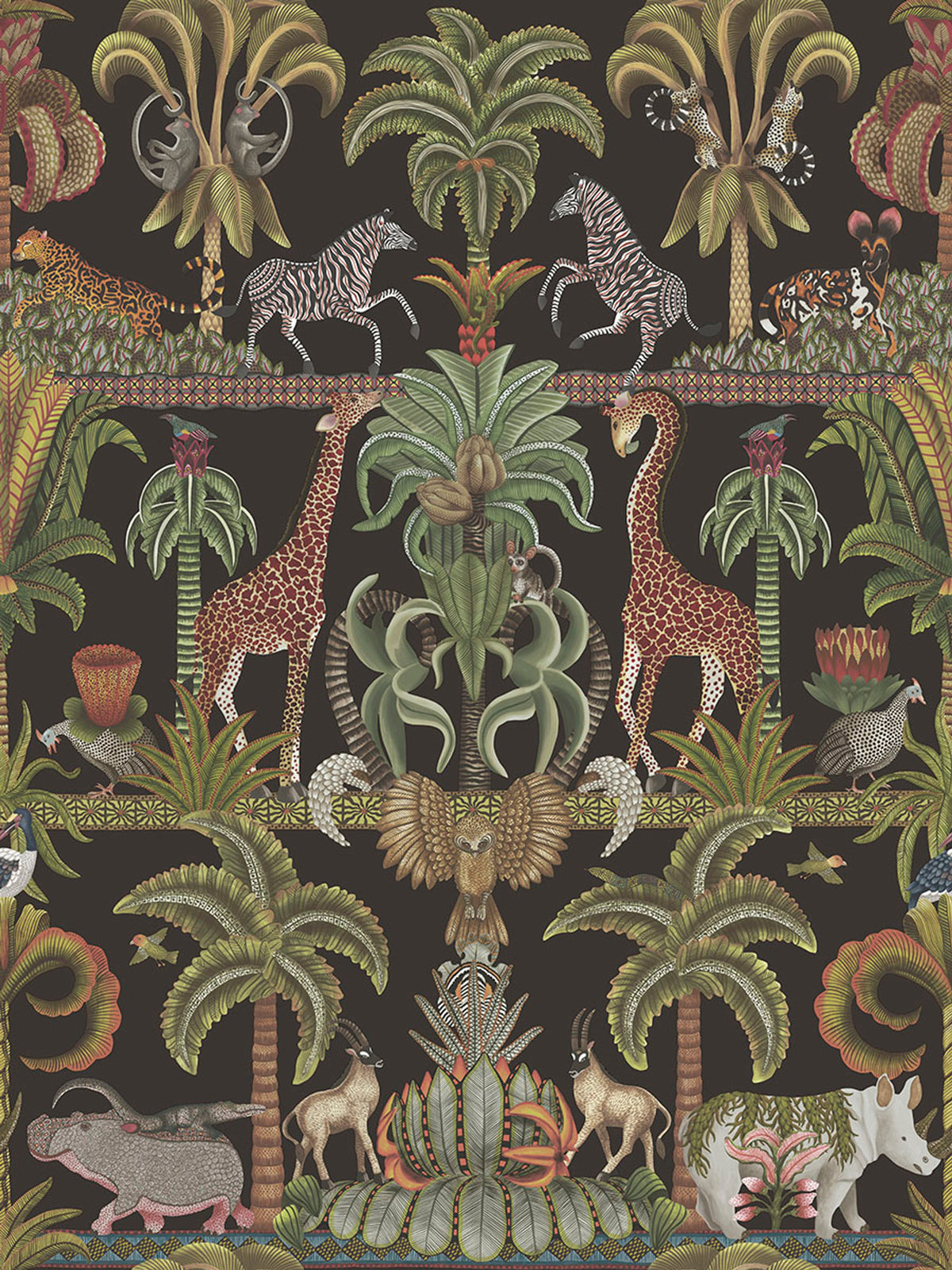 Afrika Kingdom - Black Olive