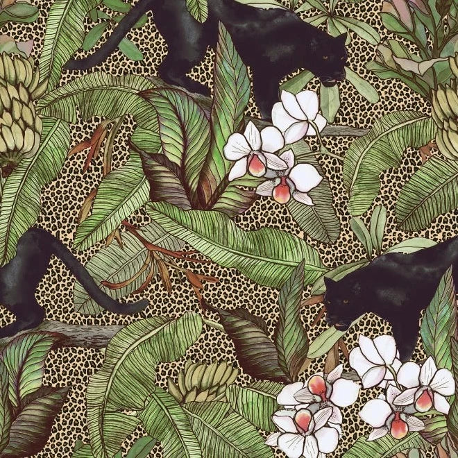 Alluring Panthers