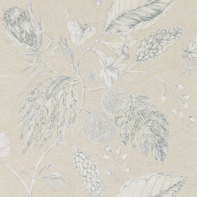 Amborella - Jute