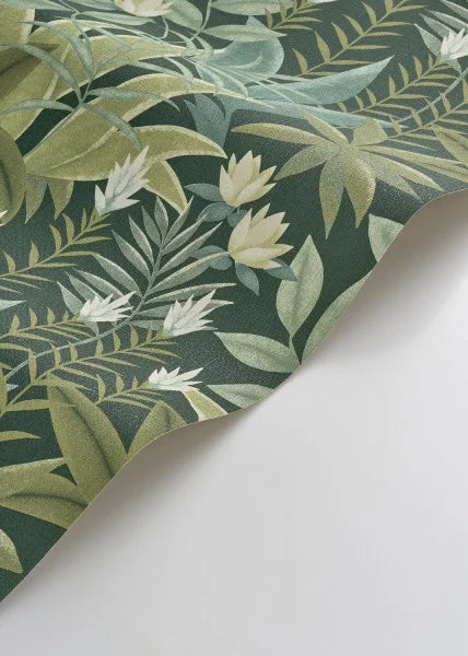 Antipode - Vert Canopee