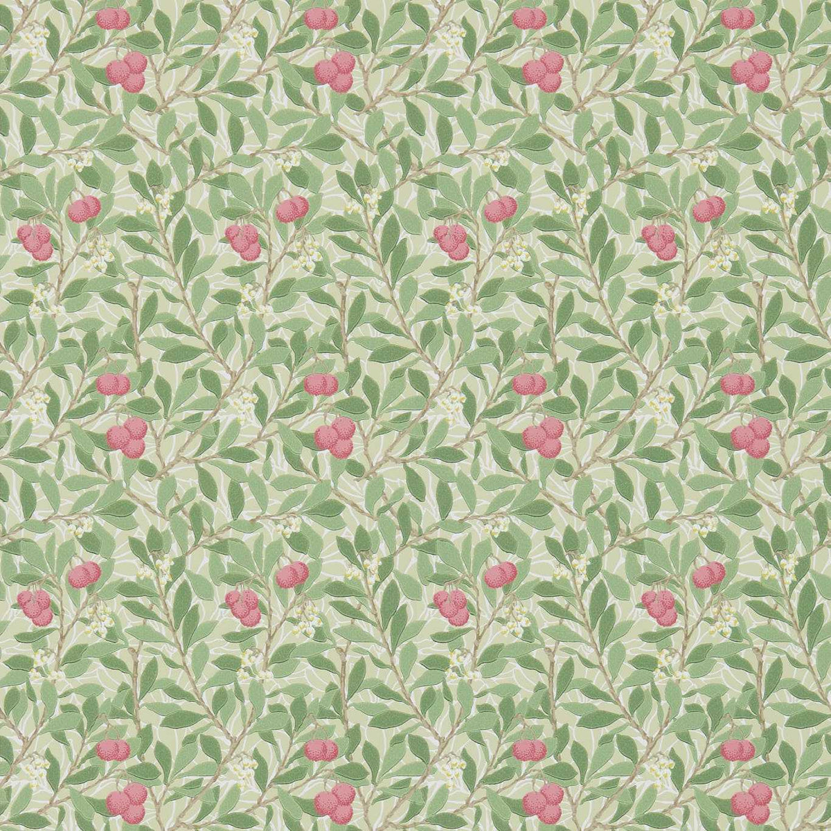 Arbutus - Olive/Pink