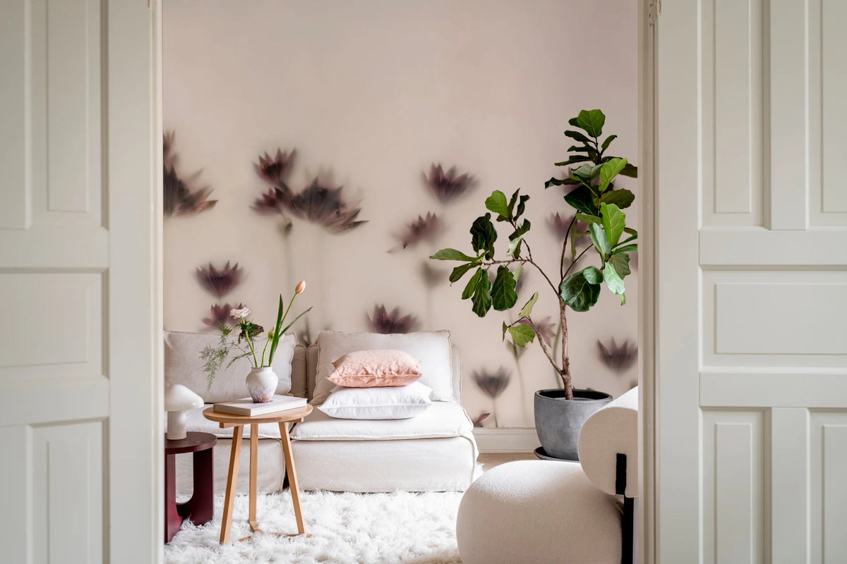 Astrantia - Pink