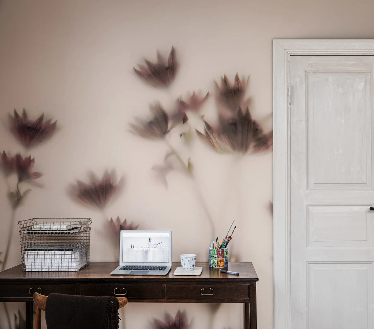 Astrantia - Pink