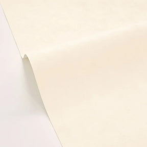 Beton Uni - Blanc Beige