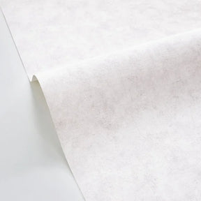 Beton Uni - Gris Beton Clair