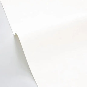 Beton Uni - Blanc
