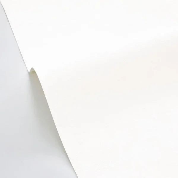 Beton Uni - Blanc