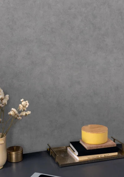 Beton Uni - Gris Beton Brut