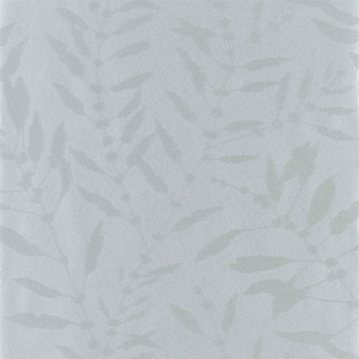 Chaconia Shimmer - Slate