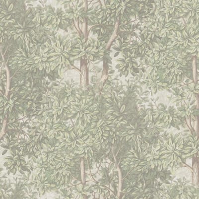 Charles - Light Green